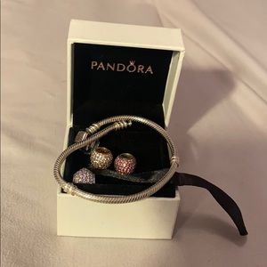 3 Pandora charms with bracelet